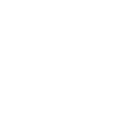 International Organization